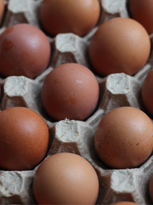 Productos huevos