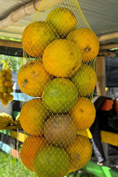 Productos naranjaaa