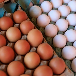 huevos