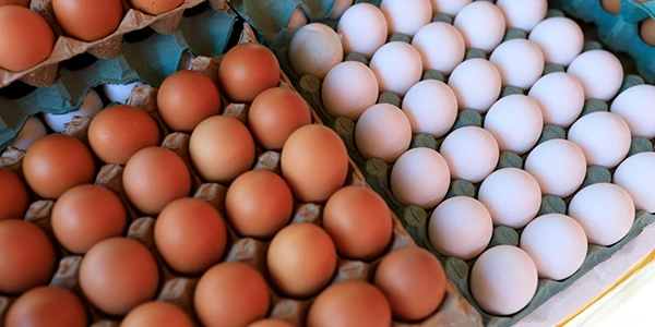 huevos huevos