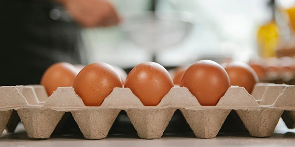 huevos huevos