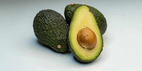 aguacate hass aguacate hass