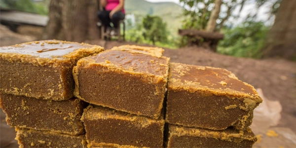panela panela