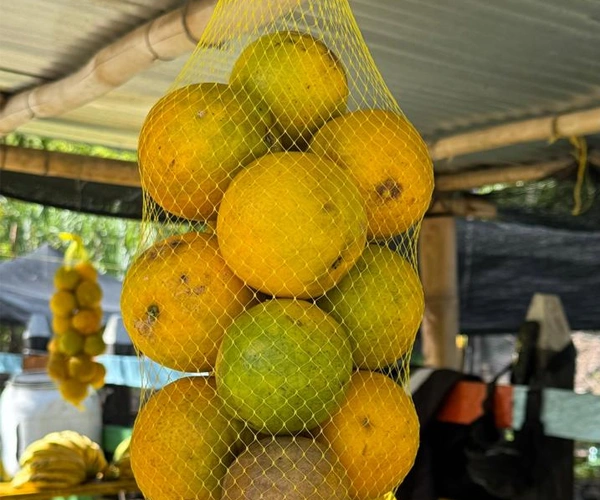 naranjas naranjas